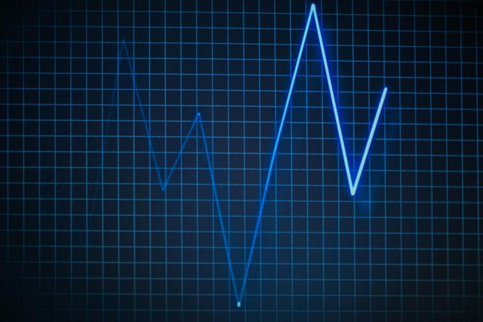 Cardio Diagnostics Holdings Stock