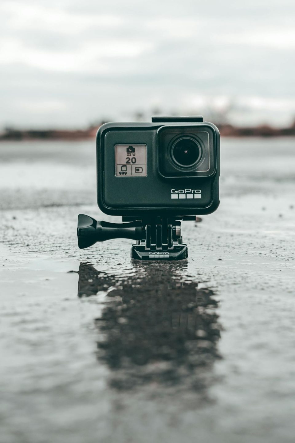 the workforce of gopro